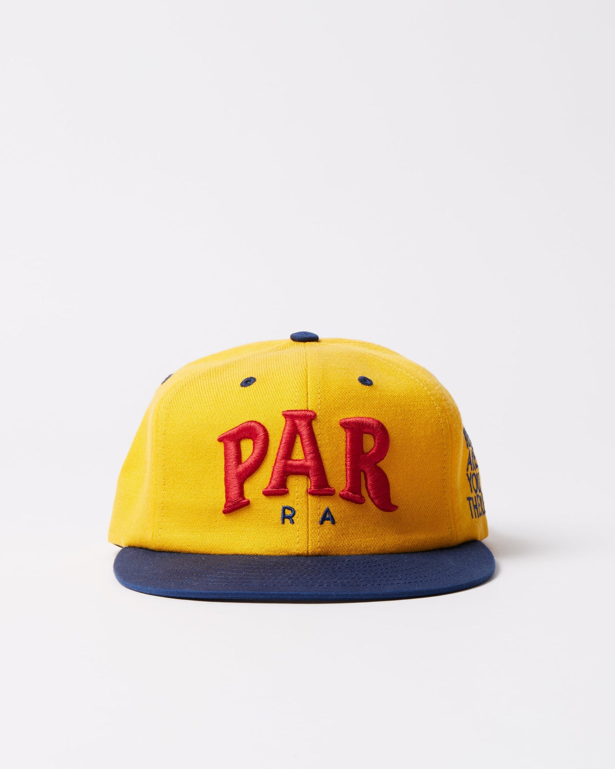 Dollar store 6 panel hat