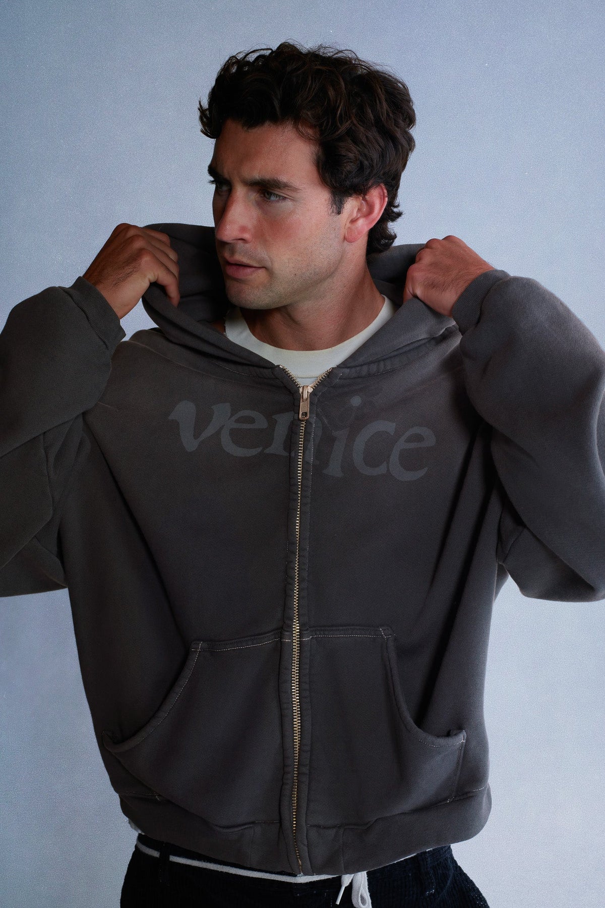 venice heavyweight zip up hoodie